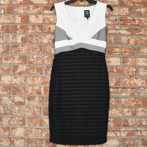 JAX Multicolored Dress